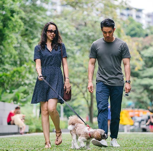 公園を犬と散歩するカップル