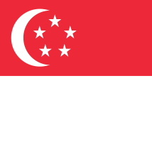 シンガポールチーム