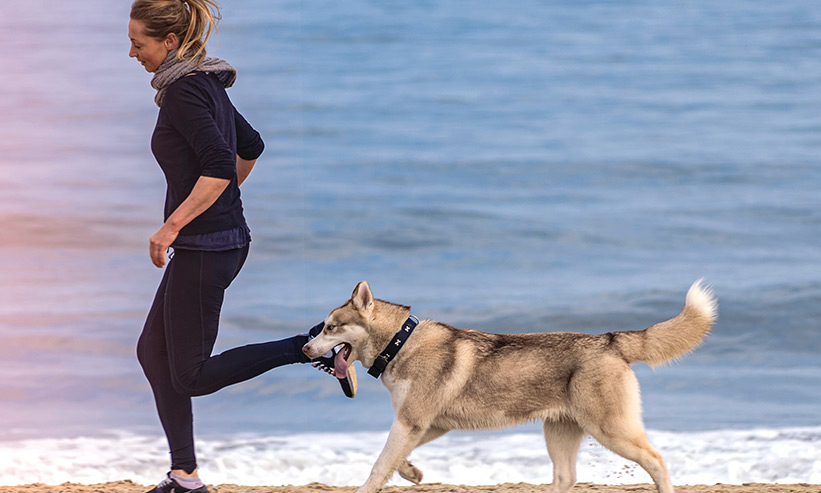 犬と一緒に砂浜を走る女性