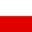 ポーランドチーム
